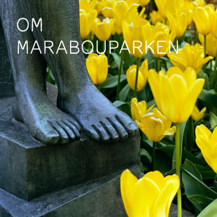 Om Marabouparken
