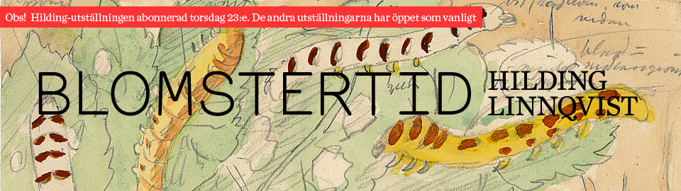 Slide 003