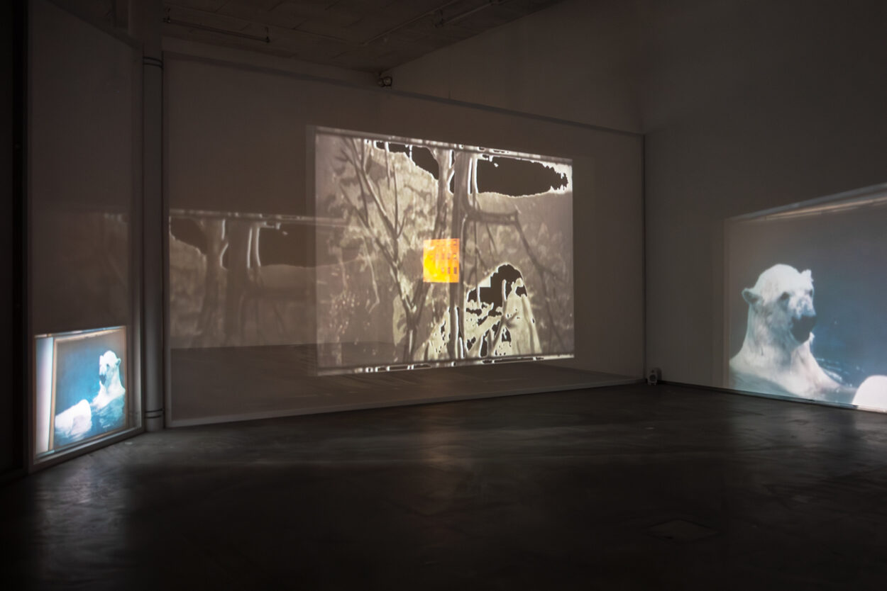 Videoinstallation med flera stora projektioner. Foto.