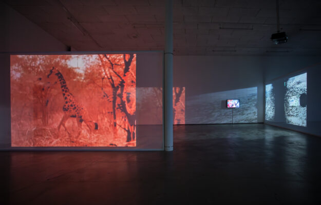 Lina Selander, One is Equal to One, utställningsvy. Fotograf: Sara Appelgren.