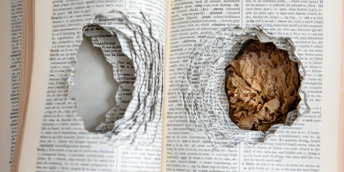 Bild på en bok med urgröpta sidor. Foto.